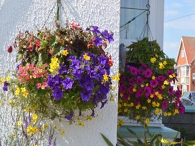 White Heather Guest House Mablethorpe Exteriör bild